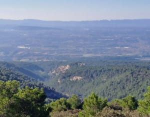 Autour de la Roque sur Pernes - La Roque-sur-Pernes - 7