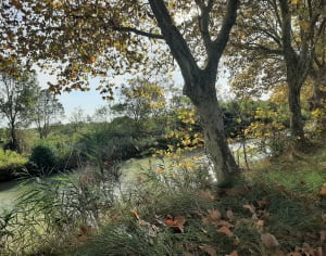 Agde Béziers par le canal du midi - Évelyne  - 2