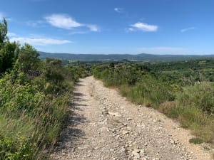 Les Moures la Citadelle de Forcalquier - Forcalquier - 9