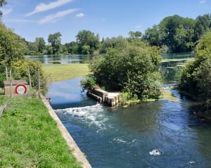 Les Plats Monts - Écourt-Saint-Quentin - 7