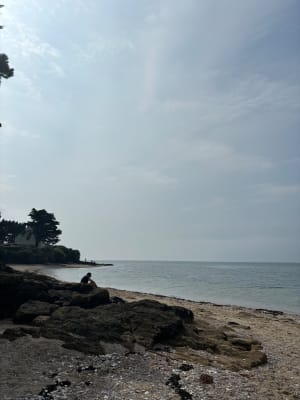 Randonnée sur les hauteurs de Pénestin - Pénestin - 8
