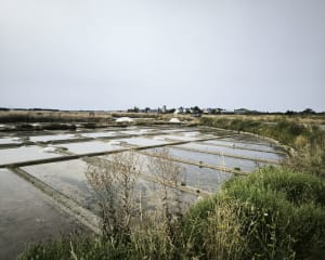 De moerassen van zout - Guérande - 10