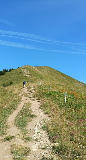 Randonnée panoramique au Môle - Saint-Jean-de-Tholome - 16