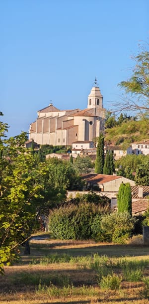La vallée au pied du Ventoux - Bédoin - 2