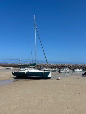 Balade vers le Cap d'Erquy - Erquy - 5