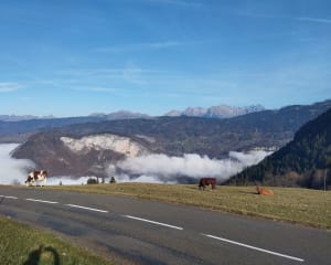 Tour de la tête de Romme et charme familial - David - 11