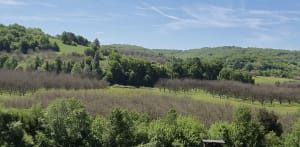 Balade à La Roque-Gageac - La Roque-Gageac - 4