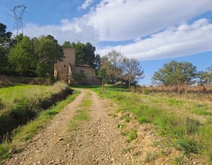 Murviel-lès-Béziers et faire en sorte que dure ce moment doux - Murviel-lès-Béziers - 8