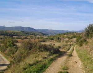 Murviel-lès-Béziers et faire en sorte que dure ce moment doux - Murviel-lès-Béziers - 9