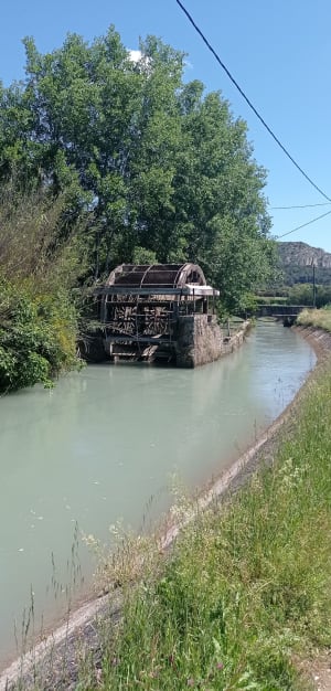 Luberon, bord de canal saint Julien - Cavaillon - 3