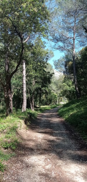 Luberon, bord de canal saint Julien - Cavaillon - 4