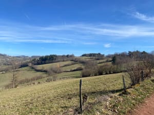 Dans les Monts du Lyonnais, par Grand Mont, depuis Riverie - Riverie - 15