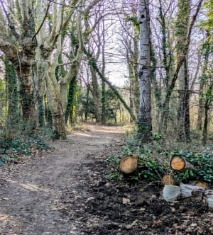Ontspannende wandeling in Calas en rond het Réaltor-bekken - Le Clos des Prieurs, Calas - 27