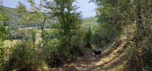 Sentier de la vallée de la croisade - Salles - 6