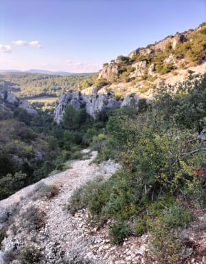 Vénasque et les gorges de la Nesque (84) - Venasque - 10