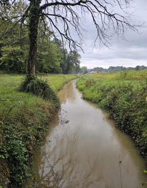 Le tour de Bassussarry par le chemin des Barthes - Sebastien - 6