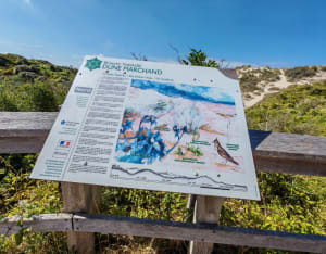 Balade dans la reserve naturelle de, la dune Marchand - Bray-Dunes - 3