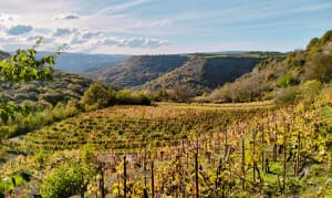 Capdenaguet et le chemin des vignes - Druelle Balsac - 2