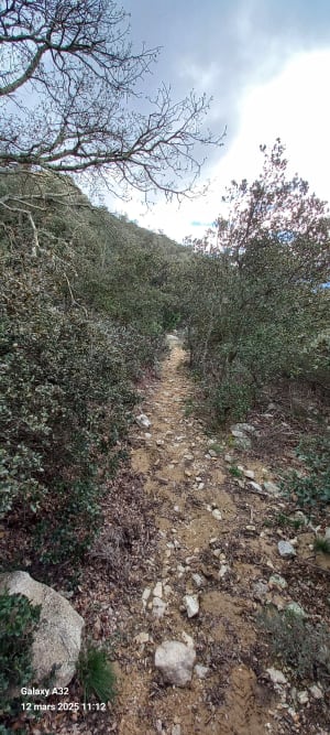 Boucle d’Arboussols - Arboussols - 11