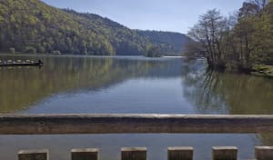 Lac Chambon et mise en beauté de la nature - Murol - 39