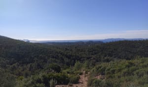 Lac de Trapan et son écrin de verdure - Bormes-les-Mimosas - 29
