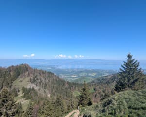 Le Mont Forchat depuis Habère-Poche - Habère-Poche - 3