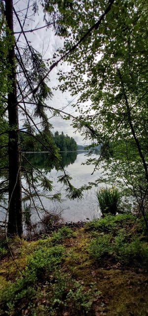 Le tour du lac de Pierre Percée - Pierre-Percée - 11