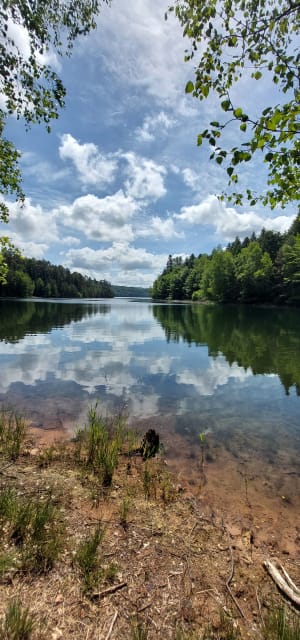 Le tour du lac de Pierre Percée - Pierre-Percée - 12