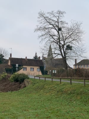 Sortie à Ferrières en Gatinais, ville médiévale - Ferrières en Gatinais - 4