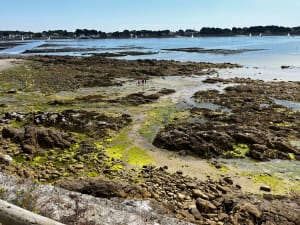 Tour de Kerbihan - La Trinité-sur-Mer - 20