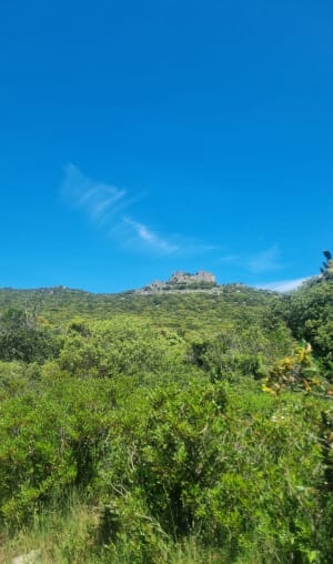 La Ronde du Château Montferrand - Saint-Mathieu-de-Tréviers - 21