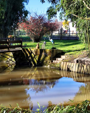 Balade au fil de La Claise - Mézières-en-Brenne - 4