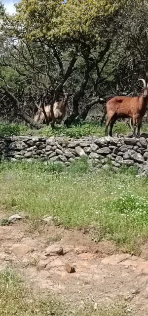 Salagou-meer: boeiende excursie naar het gehucht Vailhés - Celles - 31