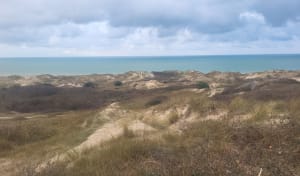 D'Equihen à Hardelot. Entre forêt, dunes et plage. - Neufchâtel-Hardelot - 30