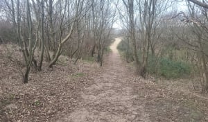 D'Equihen à Hardelot. Entre forêt, dunes et plage. - Neufchâtel-Hardelot - 31