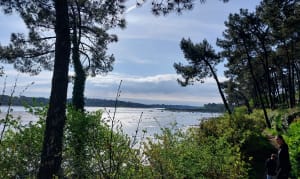 Loop naar Blair Point - Baden - 17