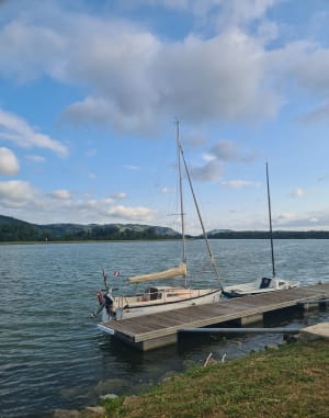 Ballade autour de l'île de la Roche-de-Glun - La Roche-de-Glun - 9