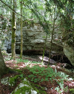 Prairie d'Herbouilly et mystérieuse grotte perforée - Saint-Martin-en-Vercors - 4