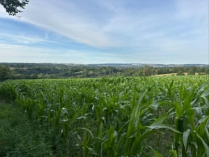 Au cours de La Souleuvre - Souleuvre en Bocage - 7