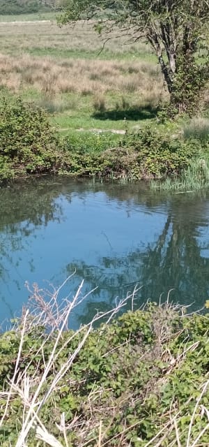 Randonnée au calme entre Veulettes et Malleville - Veulettes-sur-Mer - 16