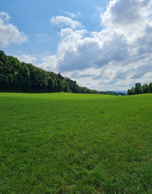 Les Chalesmes - Les Planches-en-Montagne - 7