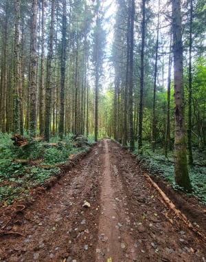 Les Chalesmes - Les Planches-en-Montagne - 8