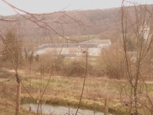 Dans la vallée du Bec-Hellouin et écrin de verdure - Vincent - 3