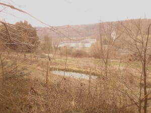 Dans la vallée du Bec-Hellouin et écrin de verdure - Le Bec-Hellouin - 2