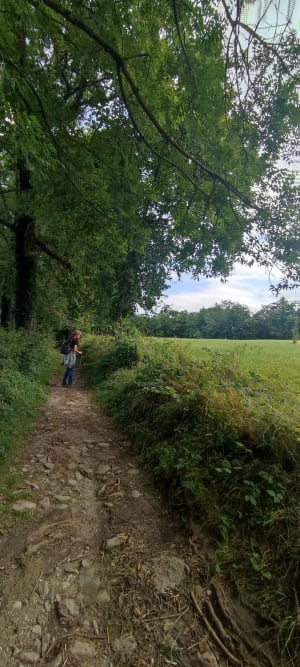 Plateau de Gavot au départ de Champanges - Champanges - 5