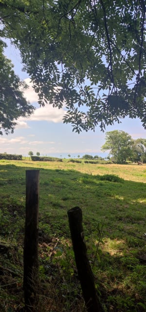 Plateau de Gavot au départ de Champanges - Champanges - 7