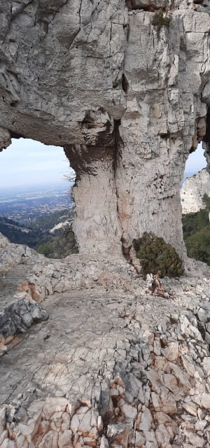 Les Deux Trous - Saint-Rémy-de-Provence - 18