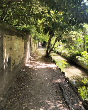 Les canaux du Charran - Valence - 2