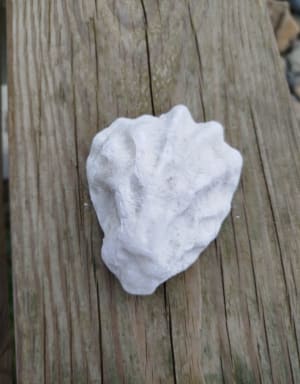 Gouffres de pluguestran - Plougrescant - 22