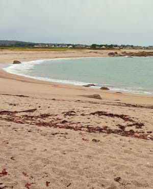 Petit tour estival par le Tot de Bas - Vicq-sur-Mer - 7